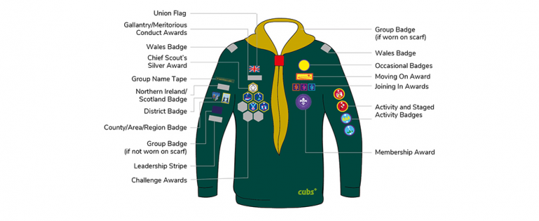 scout shirt badge layout